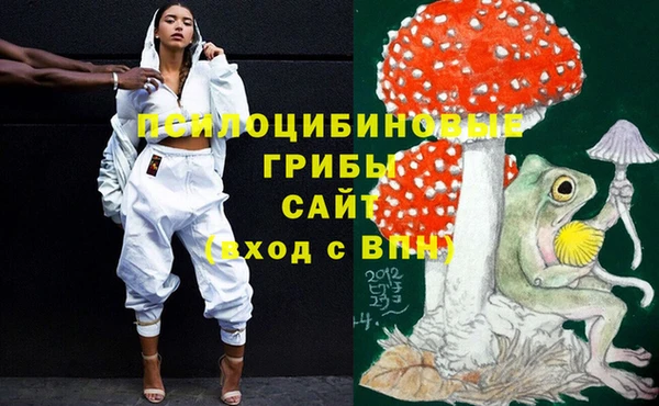 амф Алексеевка