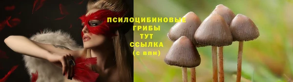 амф Алексеевка