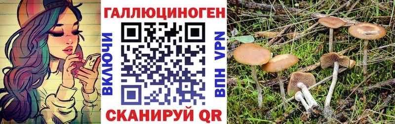 цены Волгоград Псилоцибиновые грибы мицелий